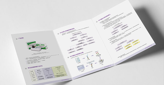 亚能生物技术（深圳）有限公司-平面展示图