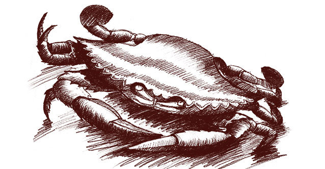 东港市盛润食品有限公司-平面展示图