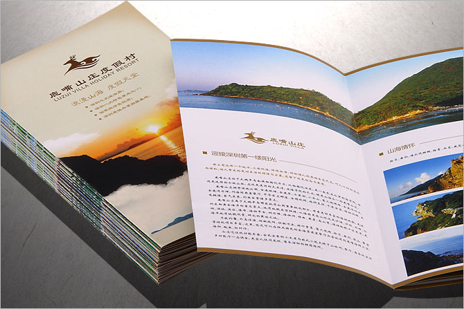 黑眼睛广告承担的六折页印刷效果-3