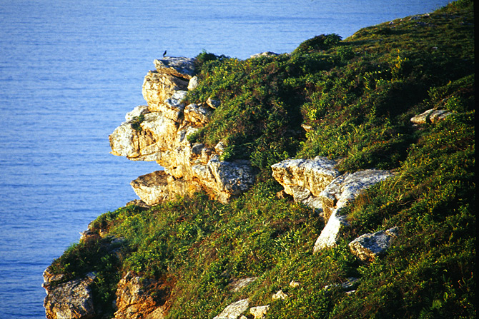 鹿嘴山庄度假村风光片_03