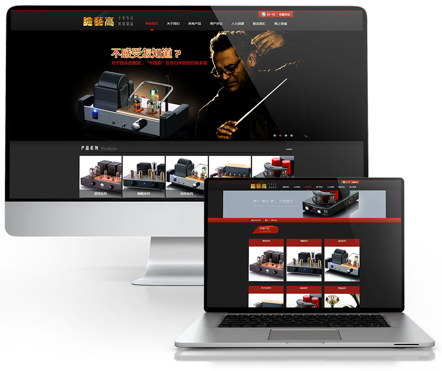 黑眼睛广告为胆艺高音响器材有限公司官网设计的首页和产品列表页