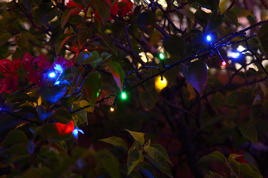 黑眼睛广告为倍绿拍摄的串灯场景应用图-夜晚